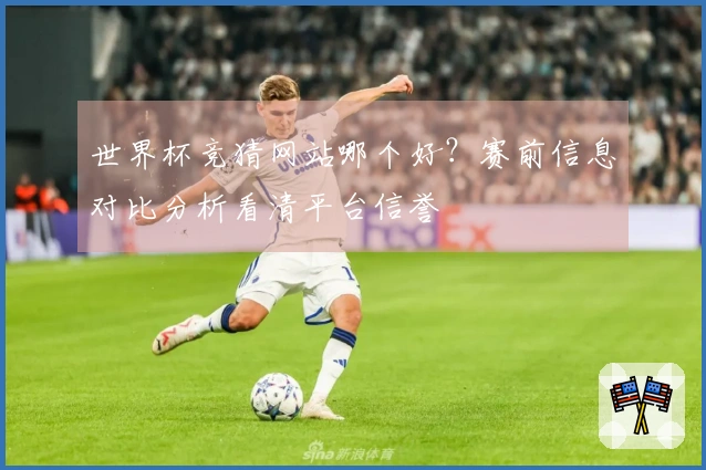 世界杯竞猜网站哪个好？赛前信息对比分析看清平台信誉