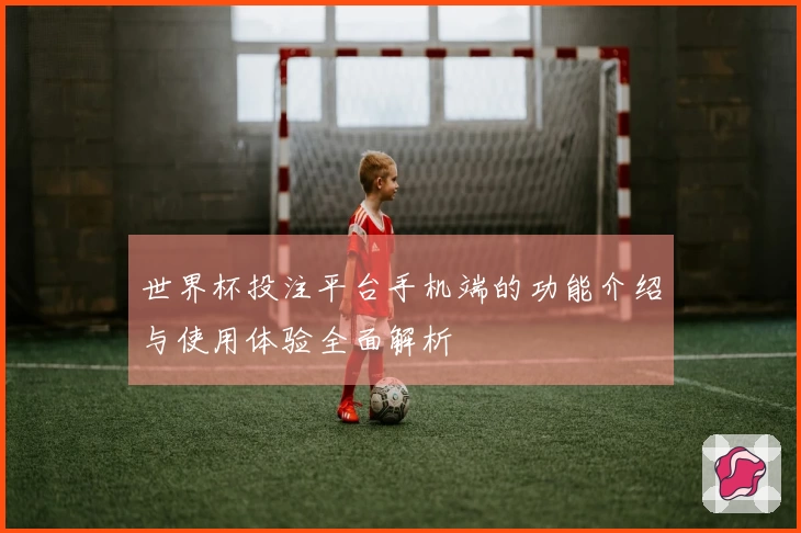 世界杯投注平台手机端的功能介绍与使用体验全面解析