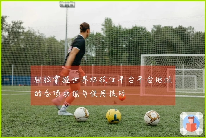 轻松掌握世界杯投注平台平台地址的各项功能与使用技巧