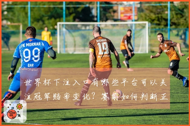 世界杯下注入口有哪些平台可以关注冠军赔率变化?赛前如何判断正规平台和赔率趋势