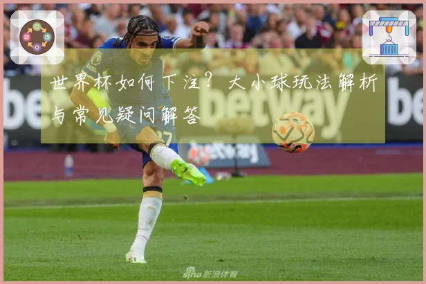 世界杯如何下注?大小球玩法解析与常见疑问解答