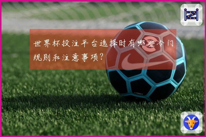 世界杯投注平台选择时有哪些冷门规则和注意事项？