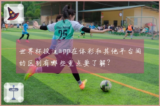 世界杯投注app在体彩和其他平台间的区别有哪些重点要了解？