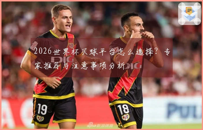 2026世界杯买球平台怎么选择?专家推荐与注意事项分析