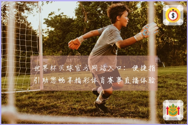 世界杯买球官方网站入口：便捷指引助您畅享精彩体育赛事直播体验