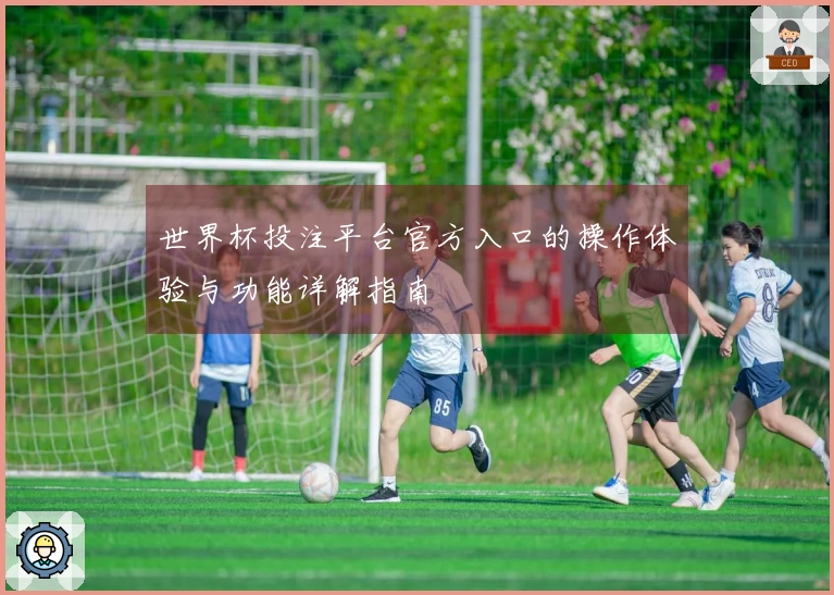 世界杯投注平台官方入口的操作体验与功能详解指南