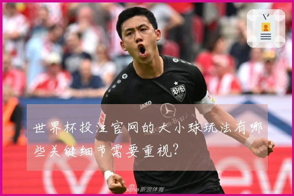 世界杯投注官网的大小球玩法有哪些关键细节需要重视？