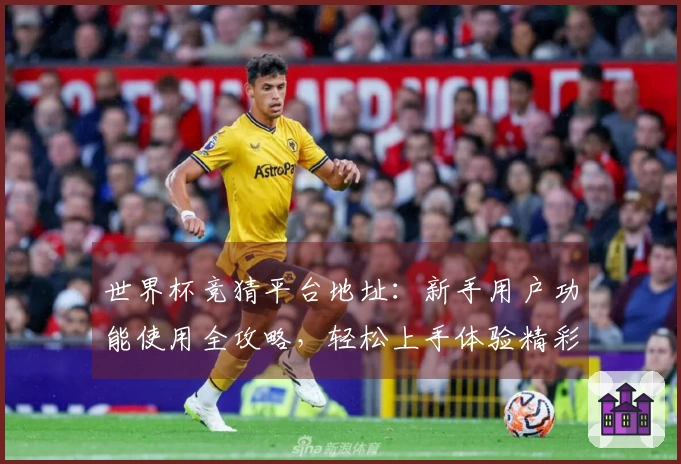 世界杯竞猜平台地址：新手用户功能使用全攻略，轻松上手体验精彩赛事