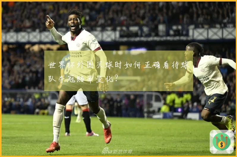 世界杯外围买球时如何正确看待球队夺冠赔率变化?