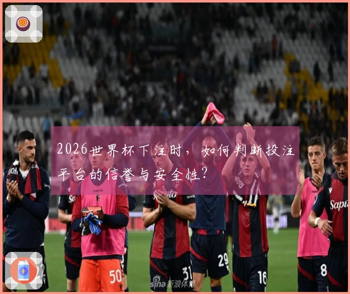 2026世界杯下注时，如何判断投注平台的信誉与安全性？
