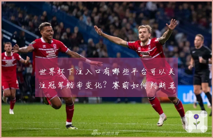 世界杯下注入口有哪些平台可以关注冠军赔率变化？赛前如何判断正规平台和赔率趋势