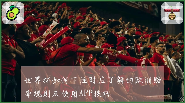 世界杯如何下注时应了解的欧洲赔率规则及使用APP技巧