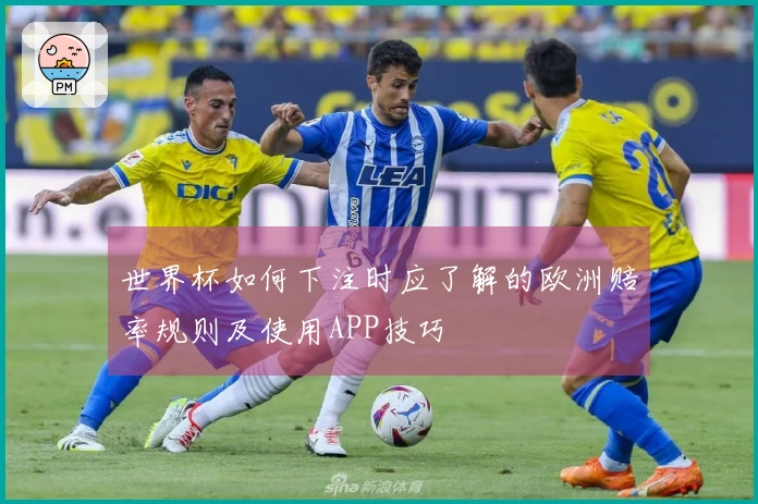 世界杯如何下注时应了解的欧洲赔率规则及使用APP技巧