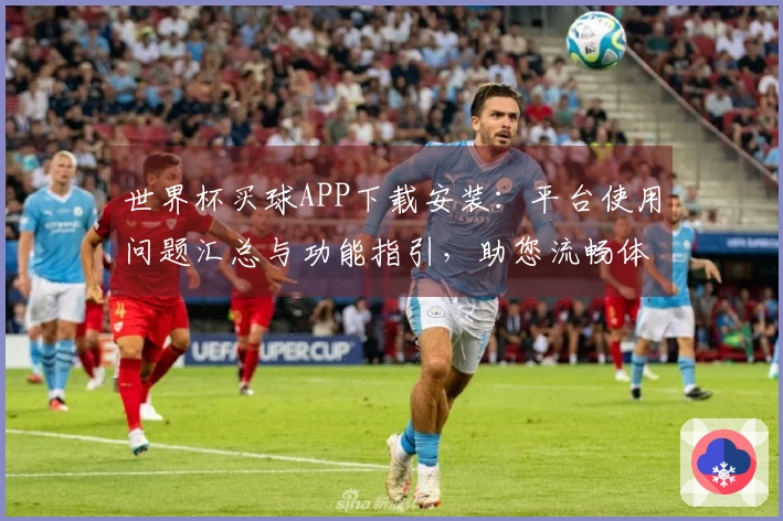 世界杯买球APP下载安装：平台使用问题汇总与功能指引，助您流畅体验